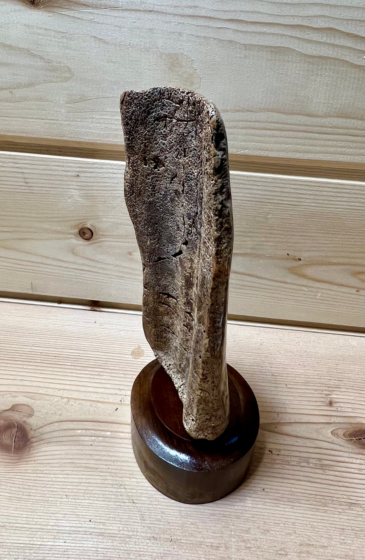 Fossilized Whale Cheek Bone Scrimshaw