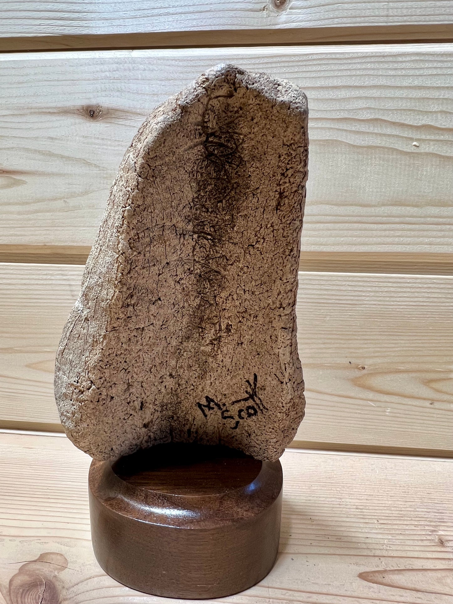 Fossilized Whale Cheek Bone Scrimshaw