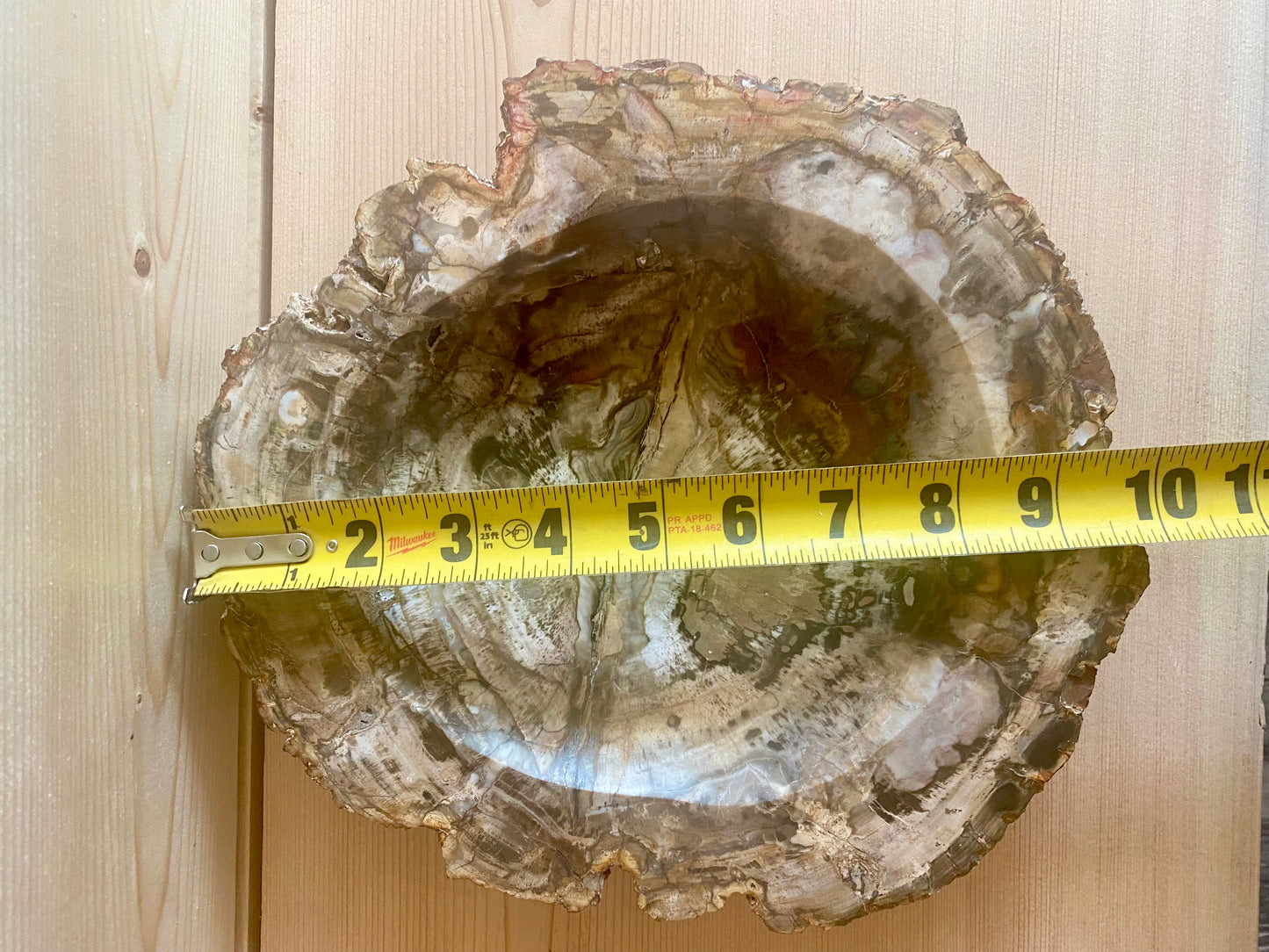 Fossilized Wood Bowl