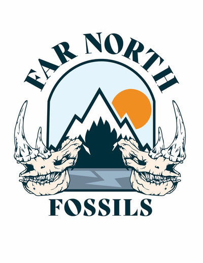 Far North Fossils Logo